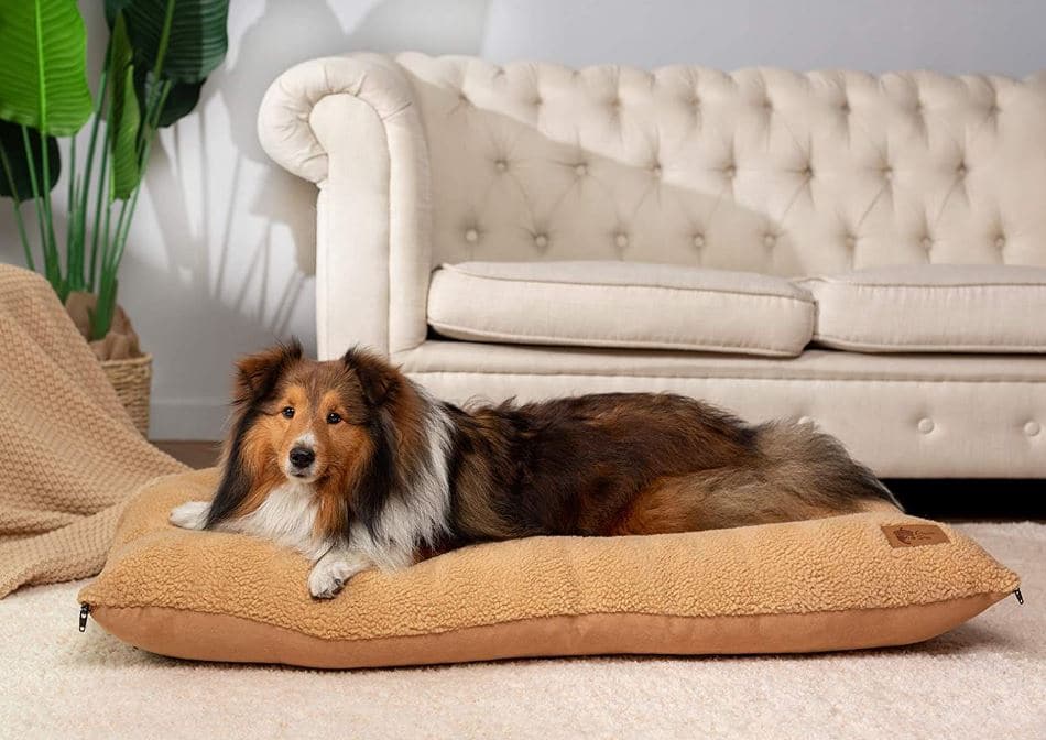 Dog Beds for Huskies by AcornPets