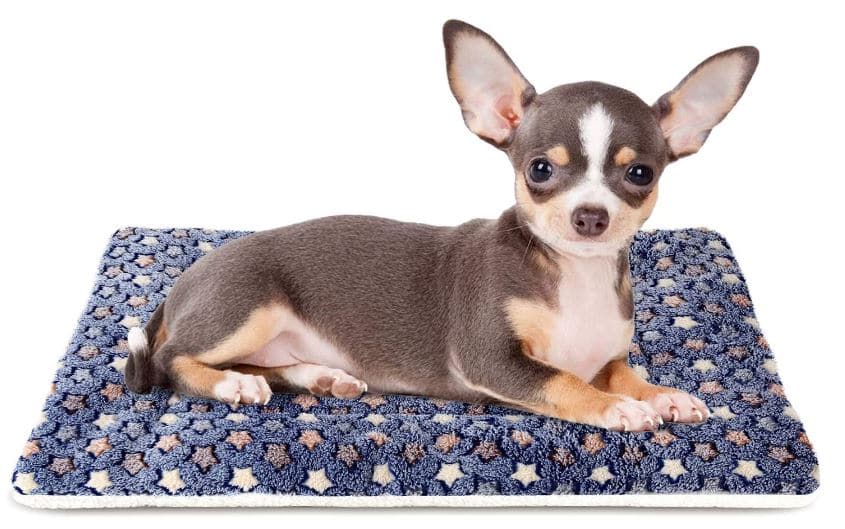 Morapets Chihuahua Bed