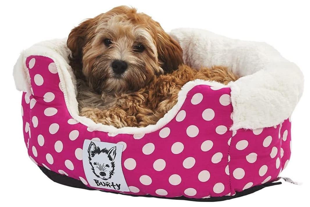 Bunty Small Dog Bed
