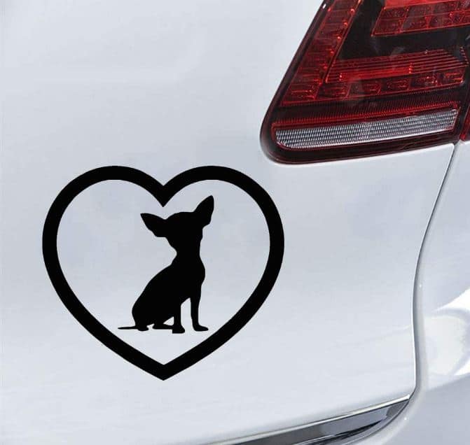 Chihuahua Gift Car Sticker