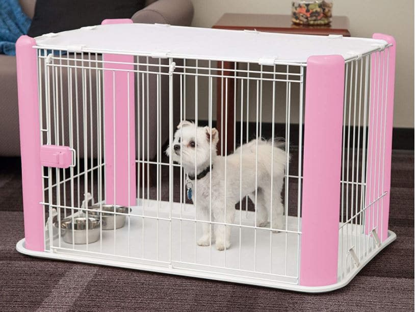 Your Guide Choosing a Small Dog Crate | 6 Top Six Small Dog Crate Picks