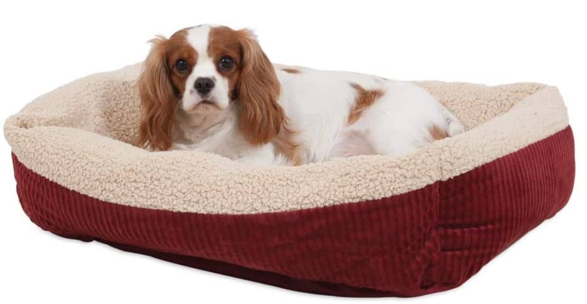 Petmate Small Dog Bed