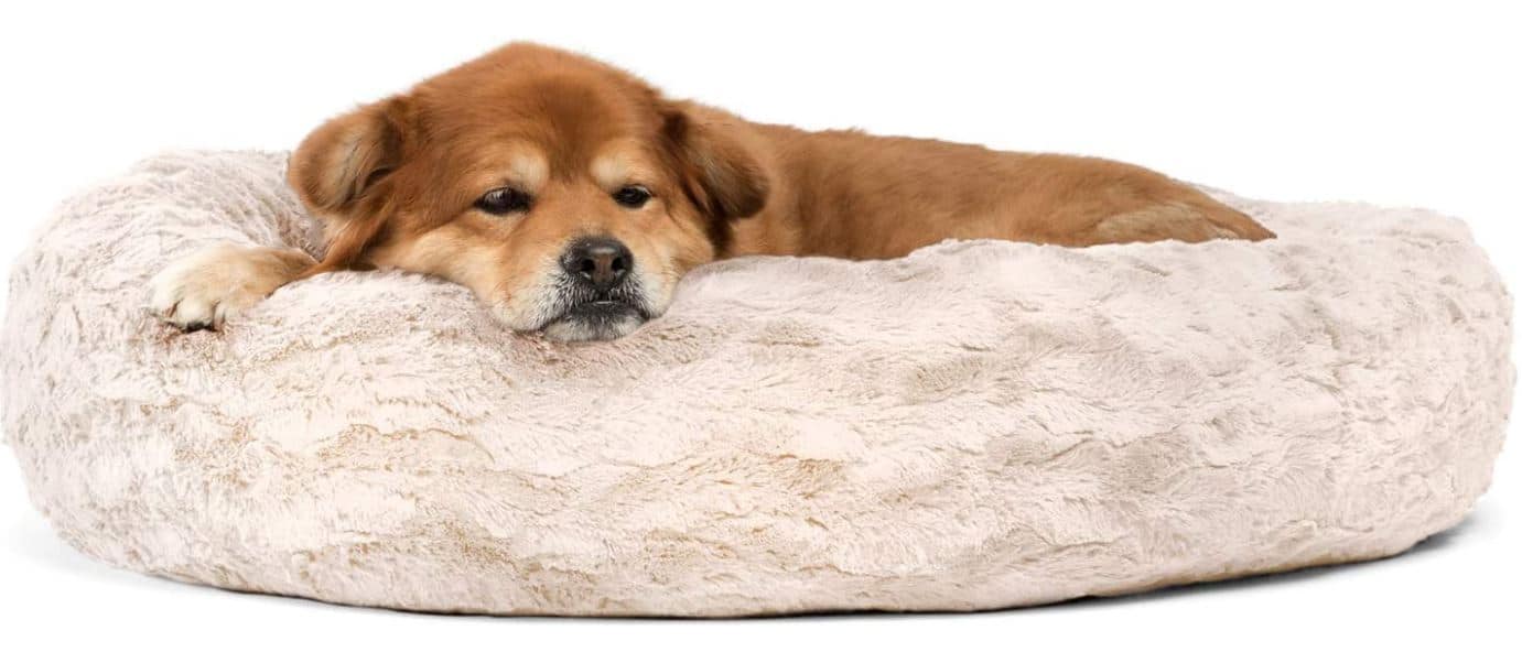 Best Friends Luxury Dog Bed