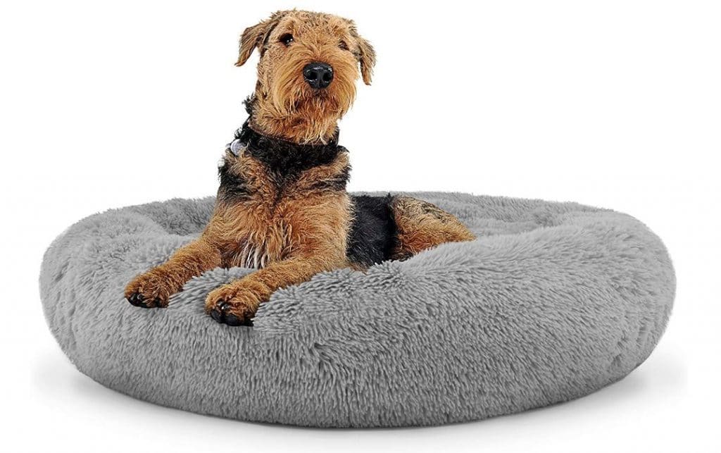 Looking for Dog Beds for Huskies? Check Out Our Top 10 Picks.