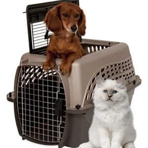 Petmate Two Door Top Load Pet Kennel