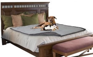 The 15 Best Dog Blankets for All Seasons and All Kinds of Pups