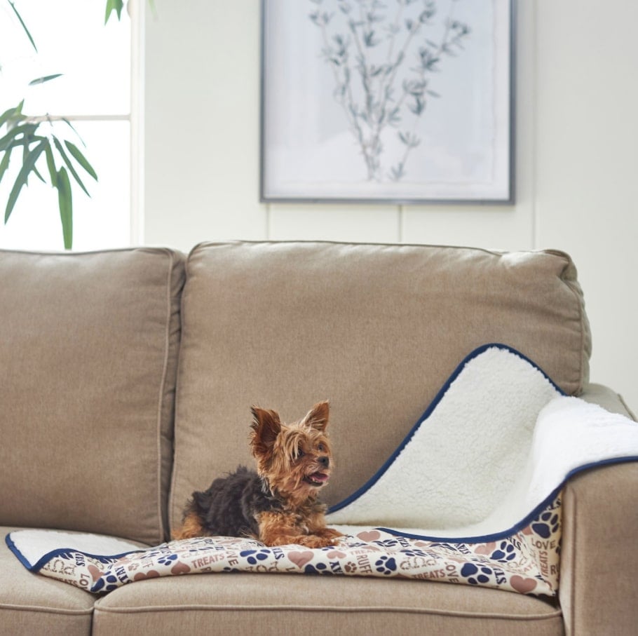The Best Dog Blankets to Keep Your Pup Snuggly and Warm