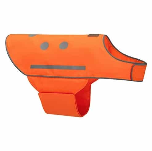 Spot the Dog Veterinary Safety Reflective Orange