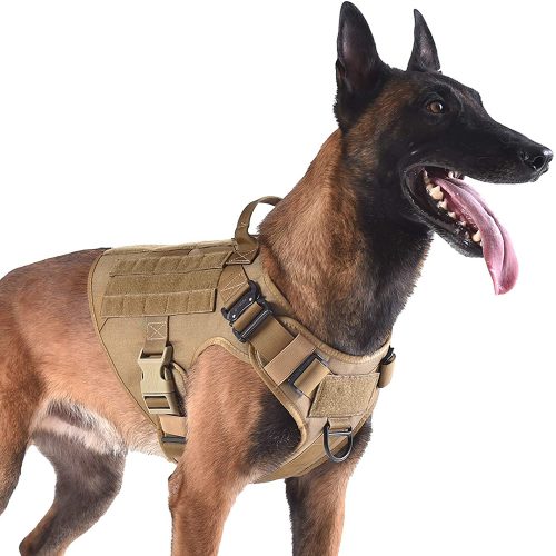 German Shepherd in canvas ICEFANG Tactical Dog Harness