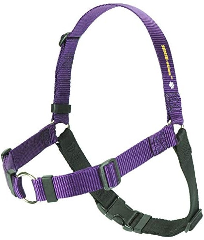 product image of a purple and black Softouch Sense-ation No-Pull Harness