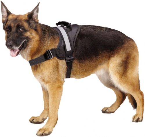 adult German Shepherd models a black Expawlorer harness