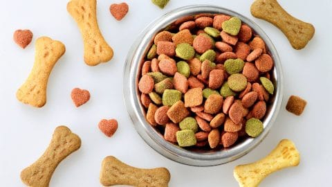 dog biscuits and a bowl of dry dog kibble