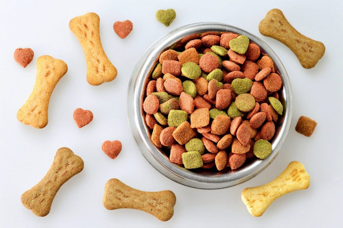Hypoallergenic Dog Food The Best Options for Every Budget