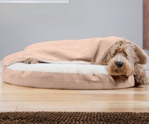 Best Orthopedic Dog Beds Top Picks, Rural King Heated Dog Beds