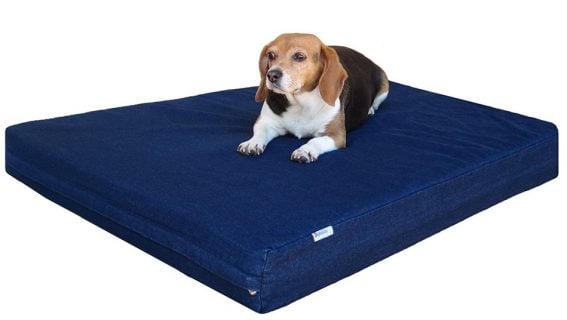 Dogbed4less Memory Foam Dog Bed with Waterproof Liner