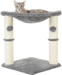 Kitten Bed | Cozy Beds for Your Kittens to Snuggle Up On