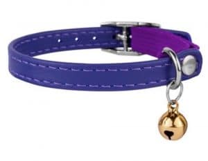 Kitten Collars | Keep Your Kitten Safe With These Excellent Collars