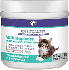 Kitten Formula | The Best Kitten Formulas for Nutrition in the First Weeks