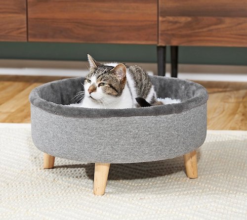 Frisco modern elevated cat bed