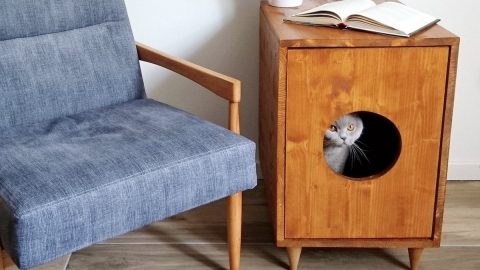 cat litter box furniture