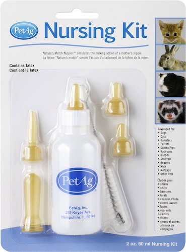 PetAg kitten nursing kit
