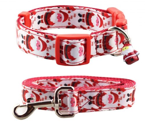 Santa dog collar and leash set