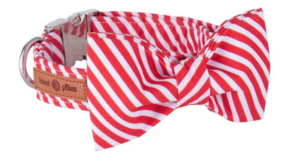 Red and White Striped Bow Tie Collar