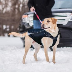 Kurgo Waterproof Dog Jacket