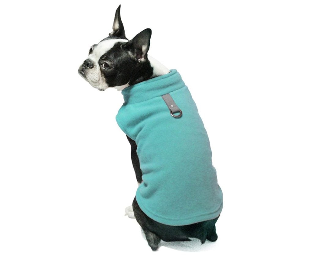 The 11 Best Dog Fleeces for Chilly Weather