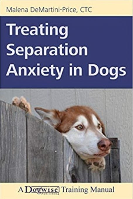 Treating Separation Anxiety in Dogs