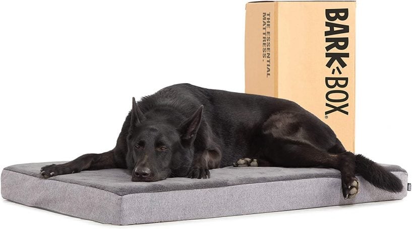 Barbox memory foam dog bed