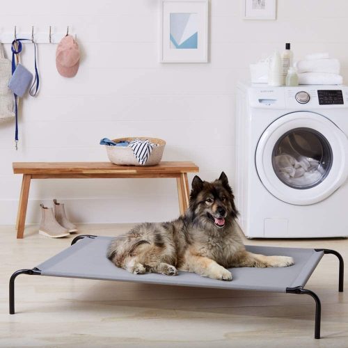 Amazon Basics Cooling Elevated Dog Bed