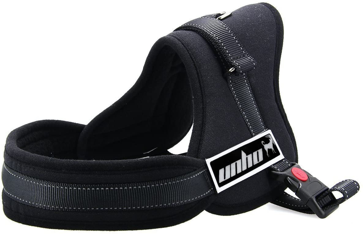 Dog Harnesses for Australian Shepherds 8 Harnesses for Your Aussie