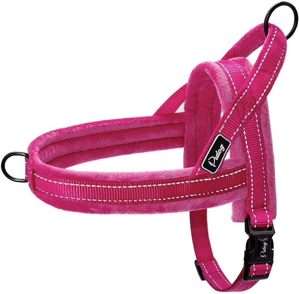 Dog Harnesses for Australian Shepherds 8 Harnesses for Your Aussie
