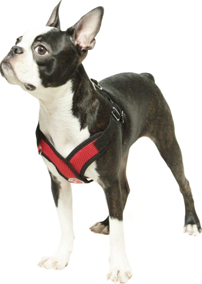 Gooby Active X Step In Dog Harness S M L Small Breed Choke Free Soft Micro Suede 