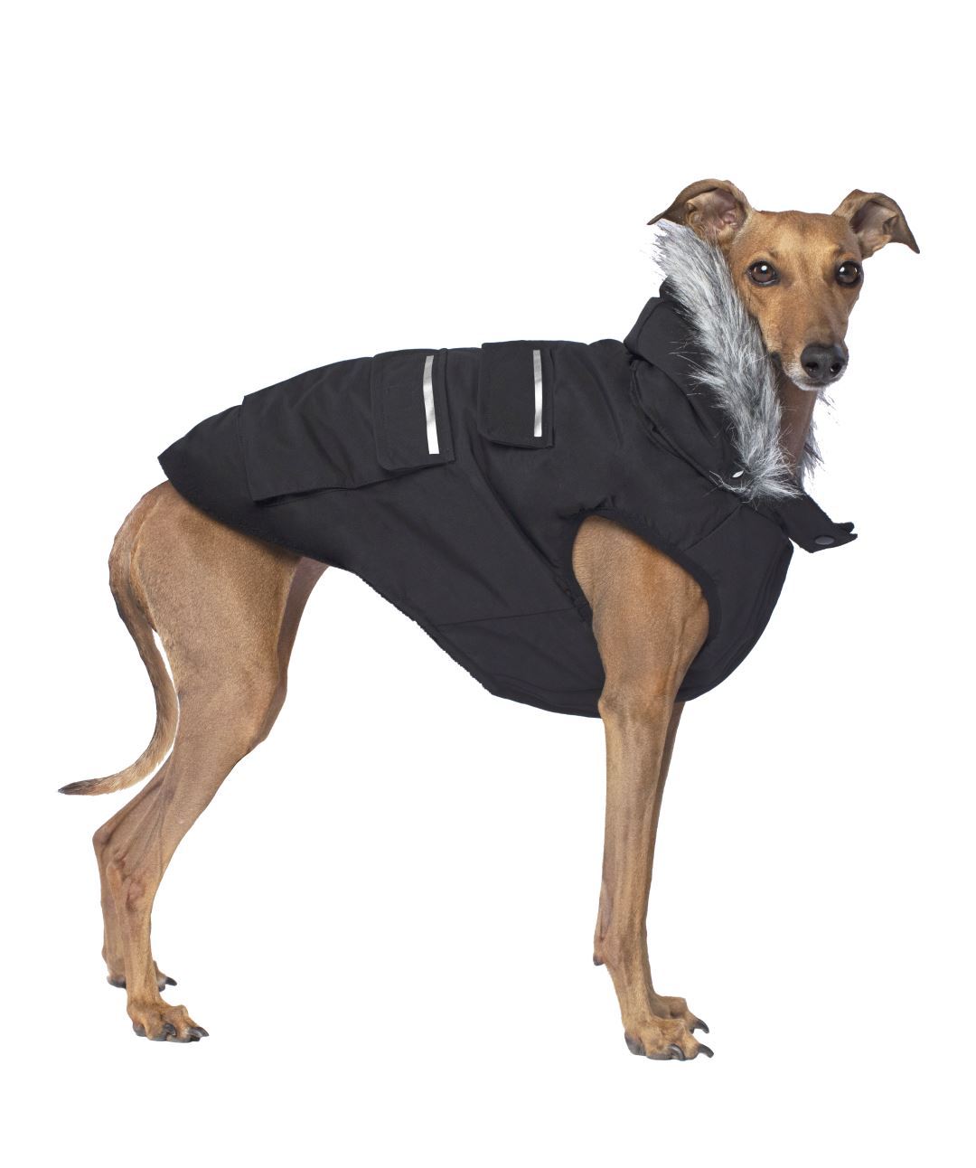 Perfect Dog Fleece Coats and Jackets for Comfy ColdWeather Layering