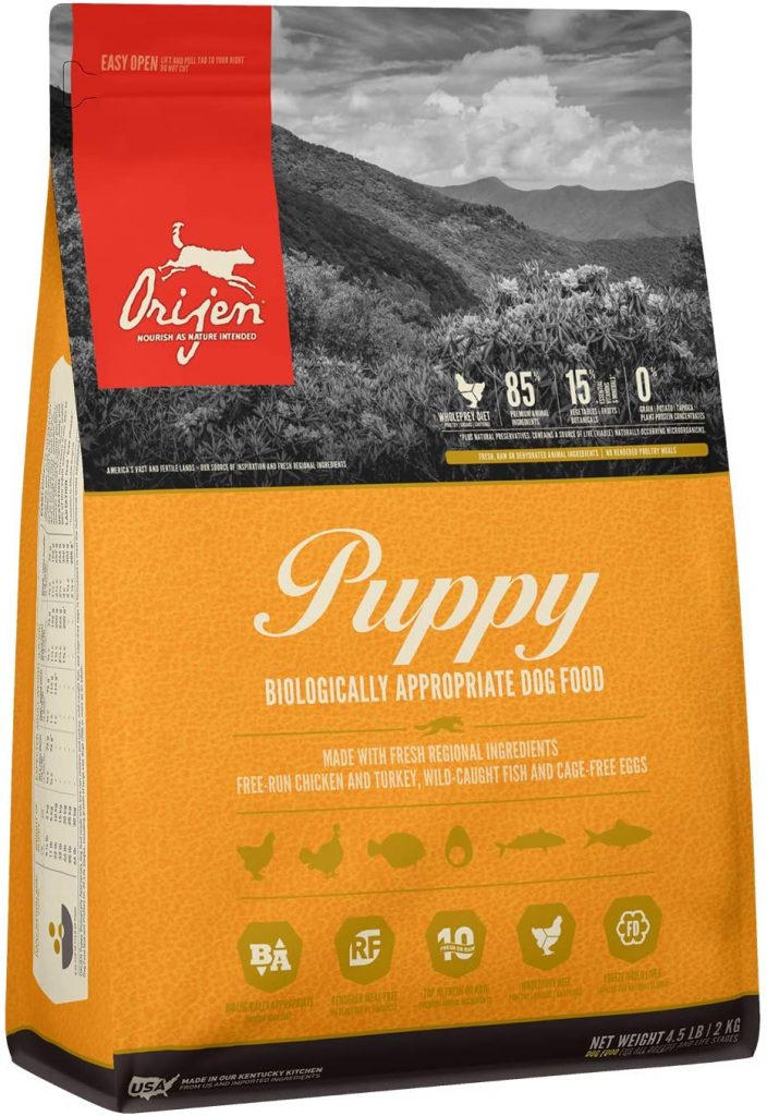 Best Dog Food for Chihuahuas The Best Kibble for Your Spunky Pup