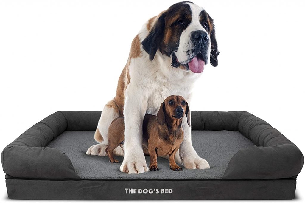 Best Extra Large Dog Beds For Great Danes Uk