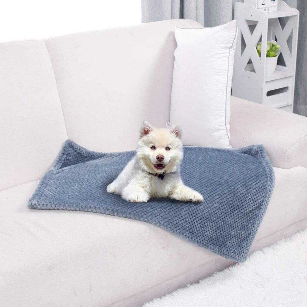 The Best Dog Blankets to Keep Your Pup Snuggly and Warm