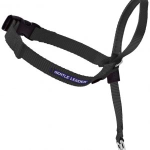 PetSafe Gentle Leader Head Collar