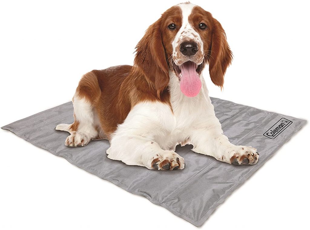 Dog Cooling Beds The Best Cooling Beds to Chill Your Hot Dog