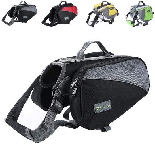 The 21 Best Dog Packs Your Pup Can Carry on Your Next Adventure