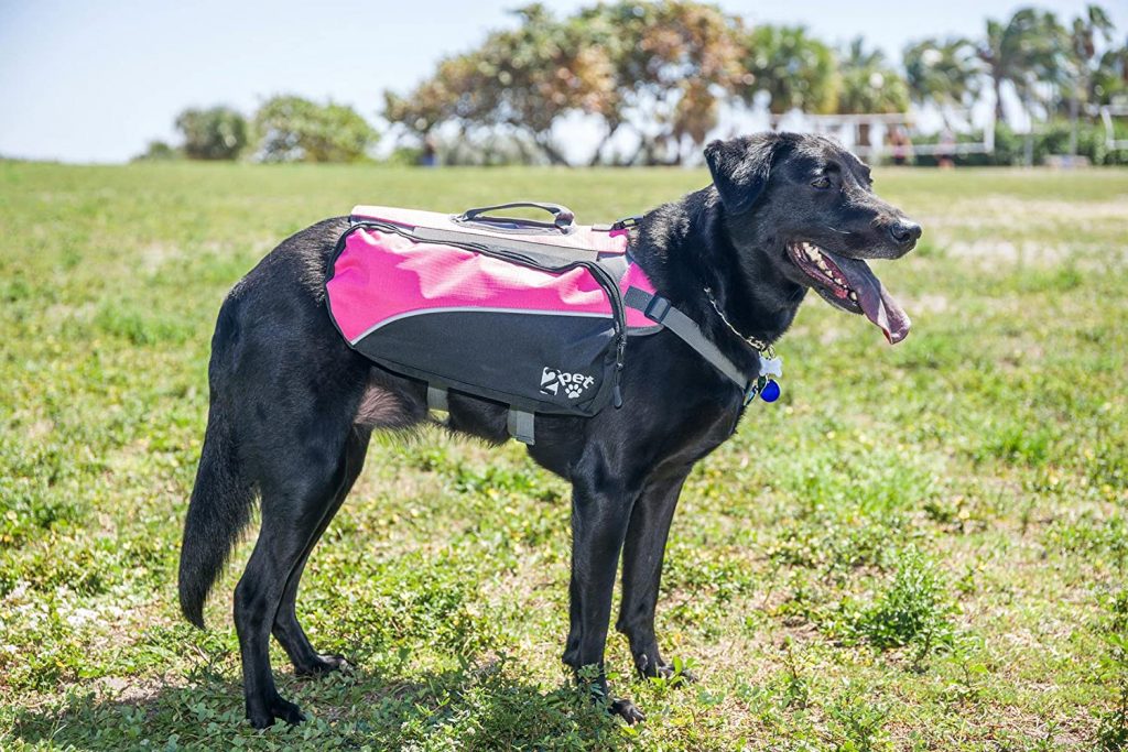 The 25 Best Dog Hiking Backpacks for 2021 Dogs Explorer