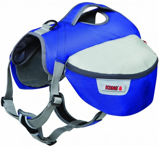 The 21 Best Dog Packs Your Pup Can Carry on Your Next Adventure