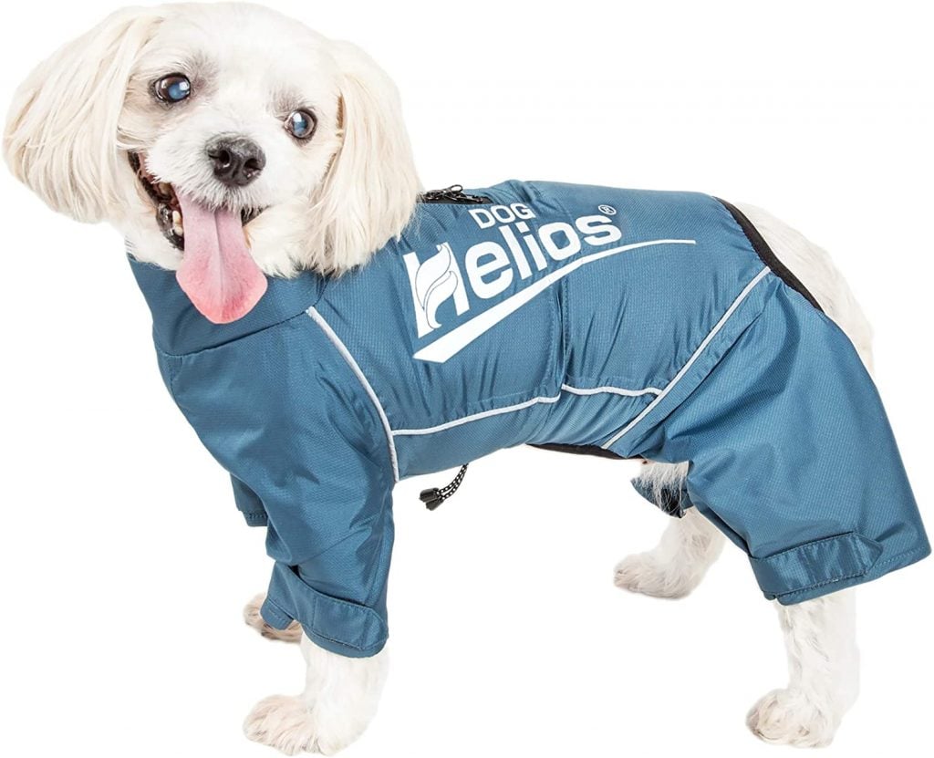 The 15 Best Dog Raincoats for All Kinds of Wet Weather