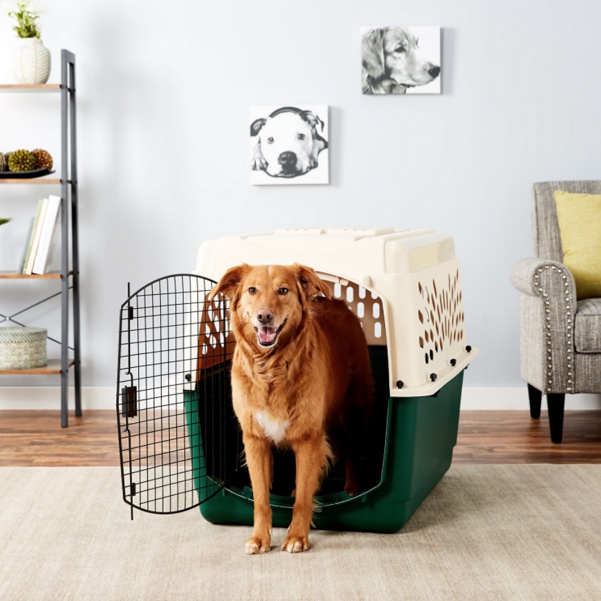 the range dog travel crate
