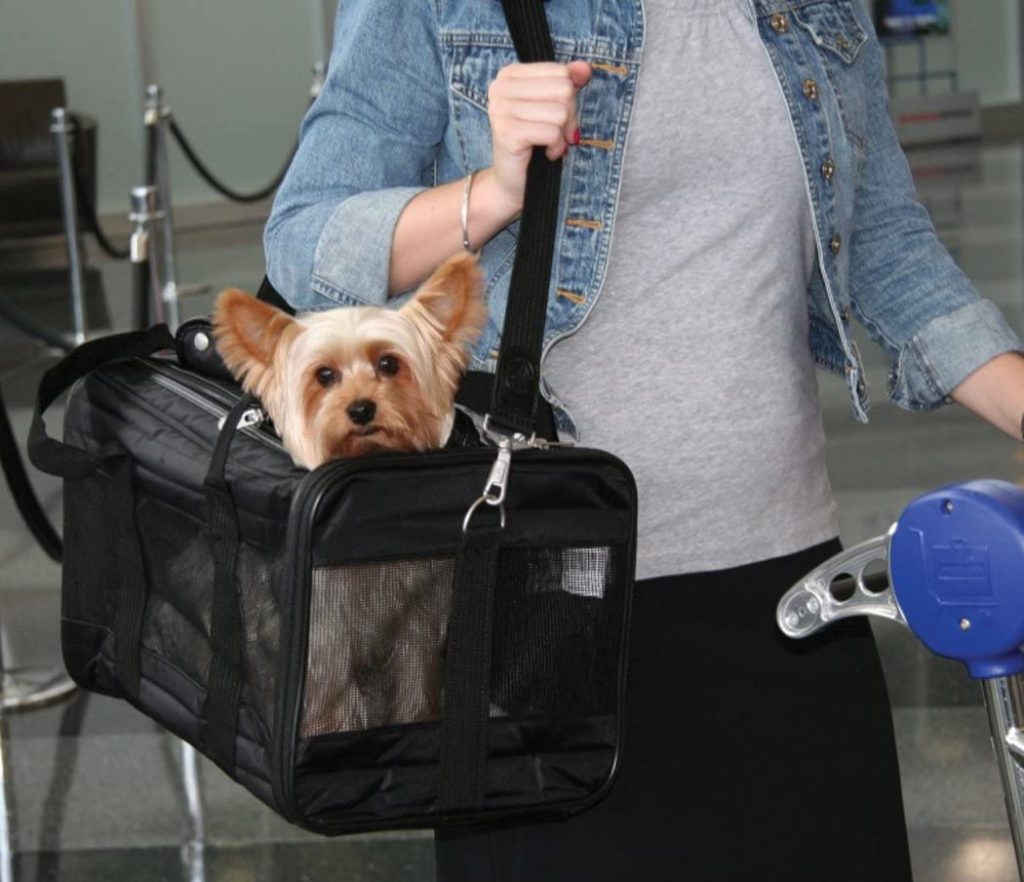 These Dog Travel Crates Are Ready to Go Wherever You Go