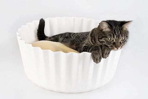 cat lounging in egg tart cat bed