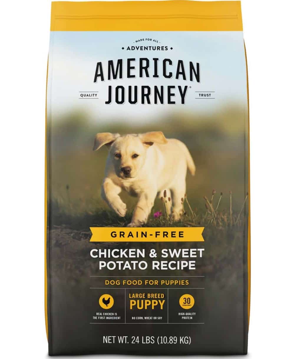골든 리트리버 강아지를위한 미국 여행 닭고기와 고구마 개밥
