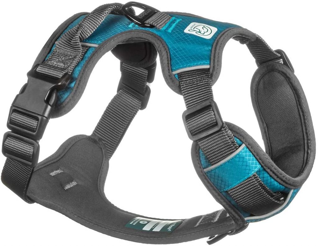 The 8 Best Harnesses for Golden Retrievers